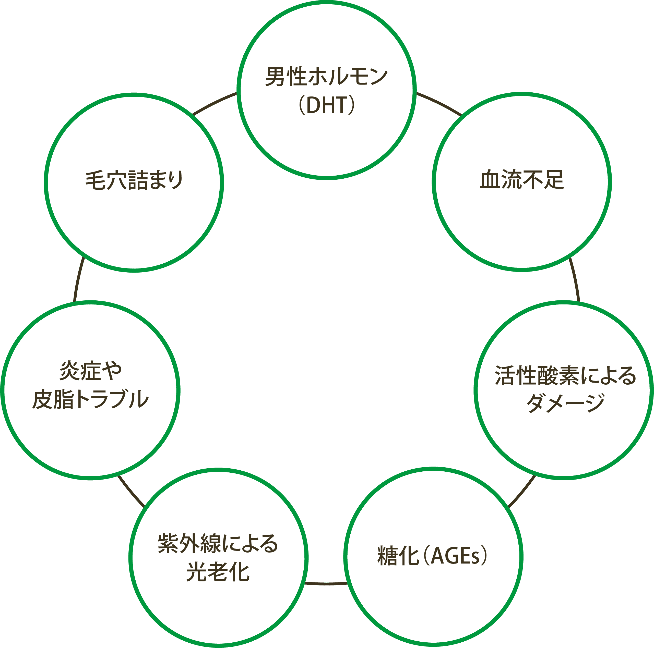 7つの薄毛原因