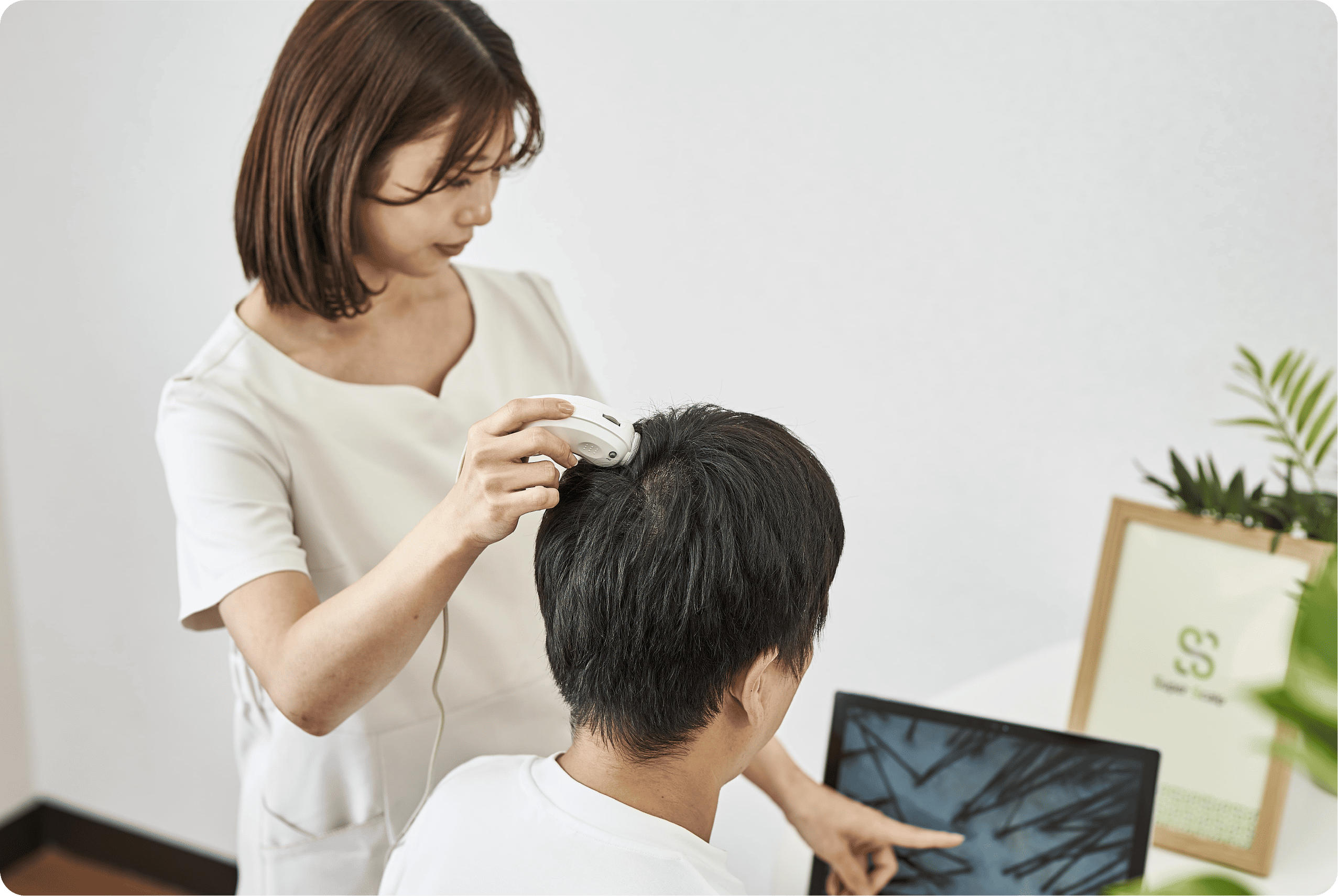 お試し体験