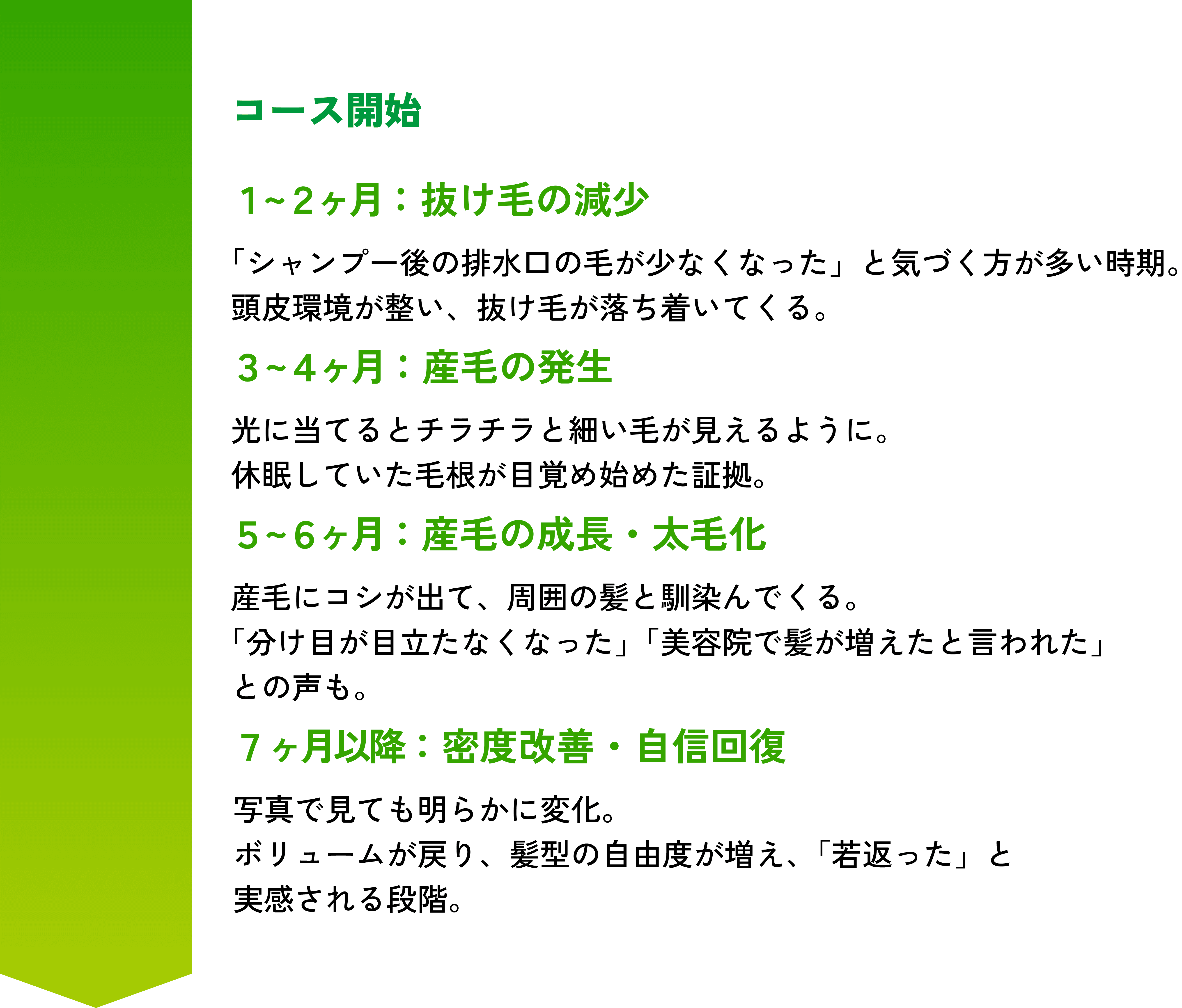 効果実感の流れ(目安)